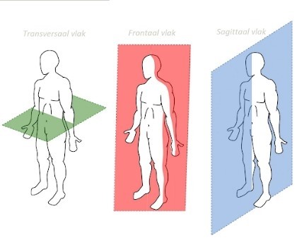 Analyseren-vlakken-turnen-biomechanica